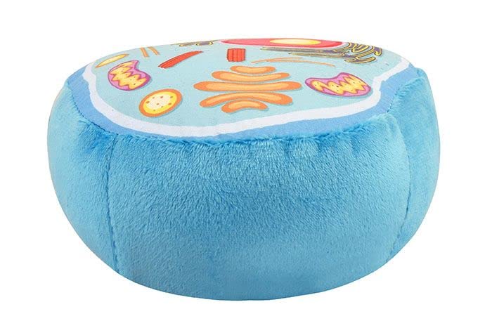 GIANT MICROBES Animal Cell Plush with illustrated diagram card for reference