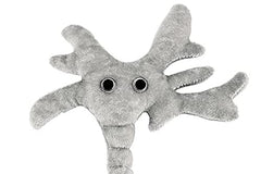 GIANTMICROBES Brain Cell Plush on desk as classroom decor.