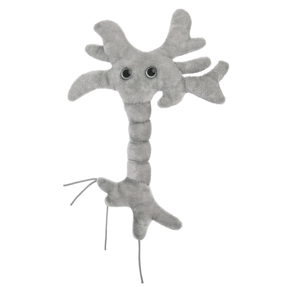 GIANTMICROBES Brain Cell Plush front view, a cuddly neuroscience toy for learning and inspiration.