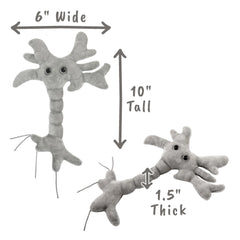 GIANTMICROBES Brain Cell Plush with information card for quick learning.