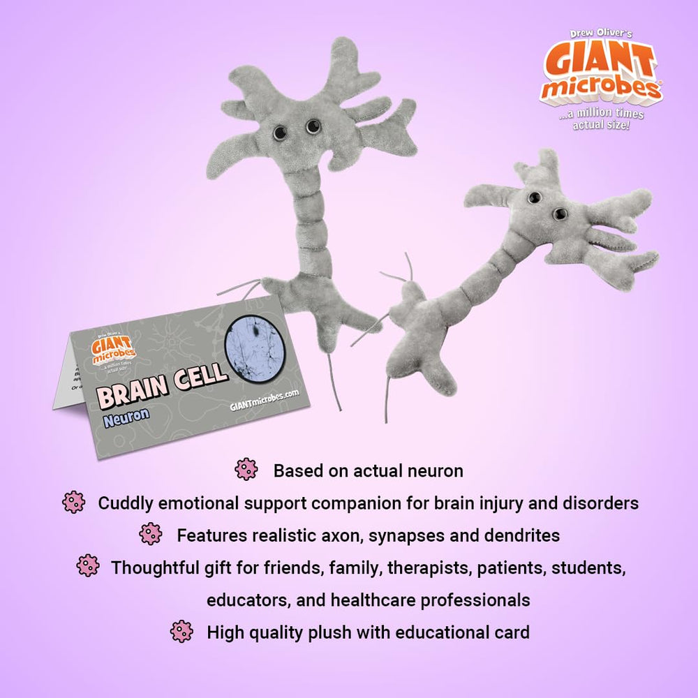 GIANTMICROBES Brain Cell Plush synapse strings illustrate neural connectivity up close.