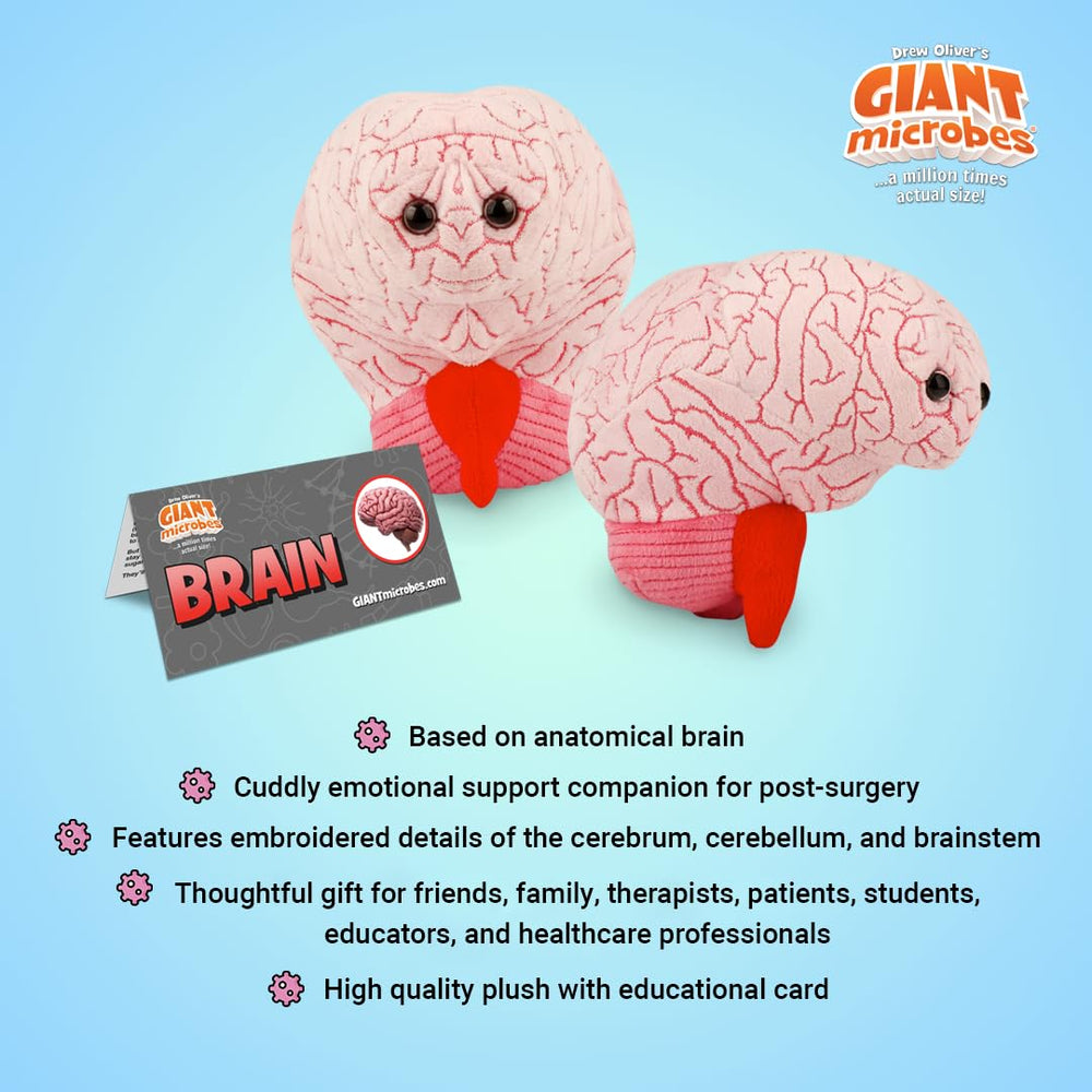 GIANT MICROBES Brain Plush information card visible supports fun facts and study notes.