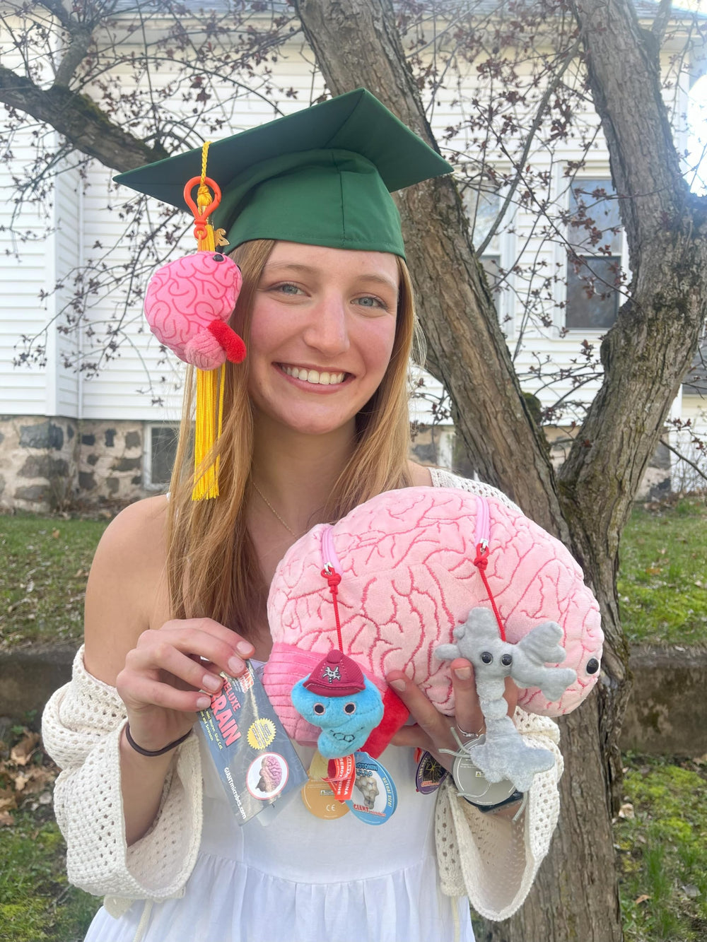 GIANT MICROBES Deluxe brain embroidery highlights neuroanatomy details