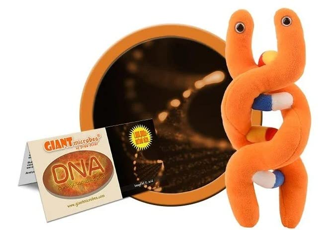 GIANTMICROBES DNA Plush educational info card highlighting genetics facts.