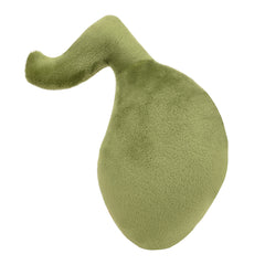 Encourages health conversations about digestion with the gallbladder plush.