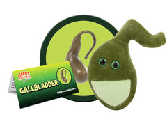 GIANT MICROBES gallbladder plush with information card for quick facts.