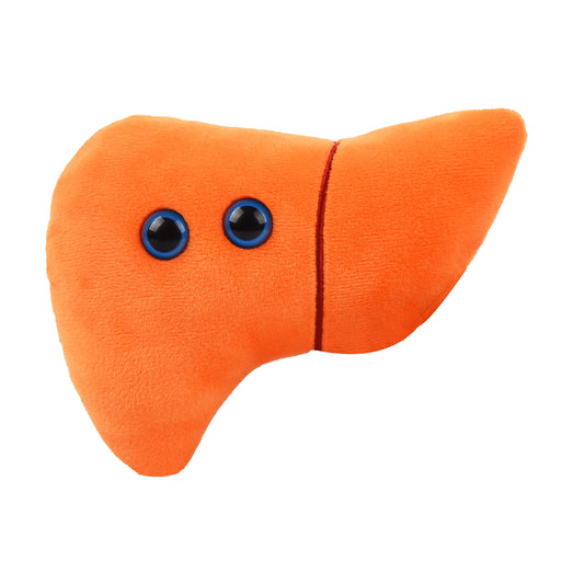 GIANTMICROBES liver plush front view - soft anatomy for learning and playful gifts