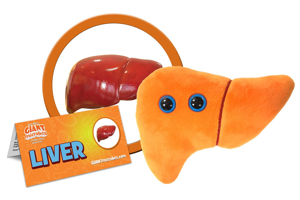 GIANTMICROBES liver plush side view - tactile comfort and educational tool