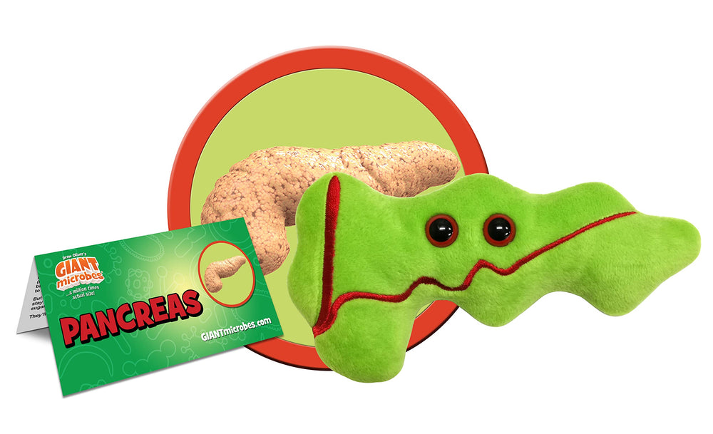 GIANT MICROBES Pancreas Plush with information card for pancreas learning.