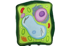 GIANT MICROBES plant cell plush cytoplasm brings the cell interior to life for students.