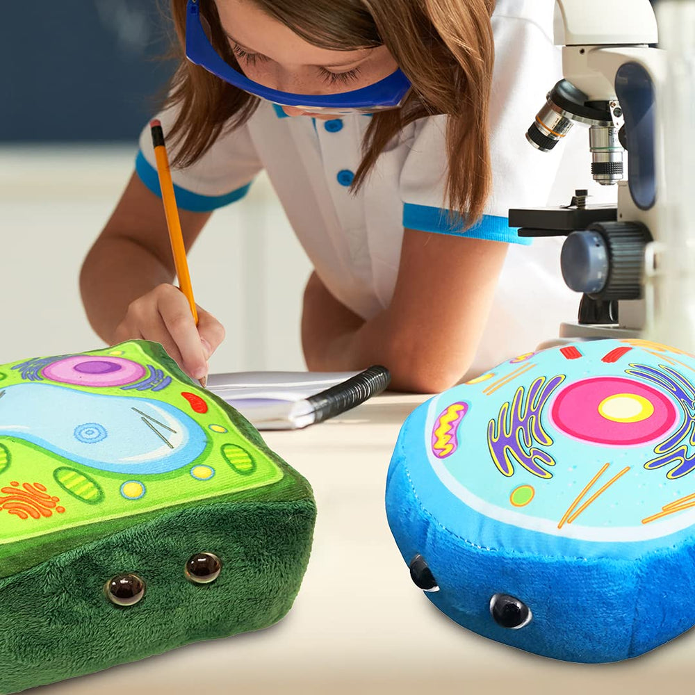 GIANT MICROBES plant cell plush vacuole supports tactile exploration of plant cell structures.