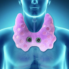 GIANT MICROBES Thyroid Plush presented as a lupus or thyroid awareness gift