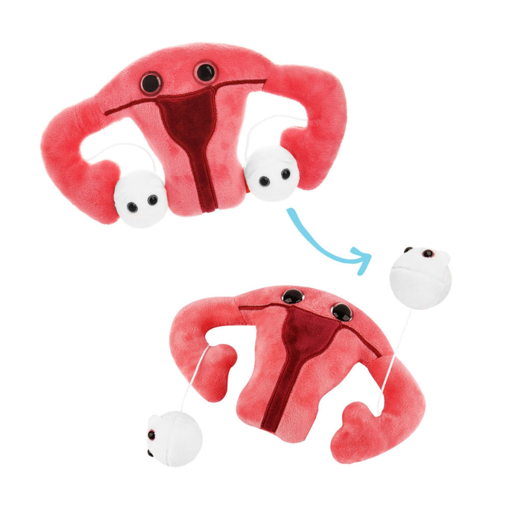 GIANT MICROBES uterus plush 8-inch offers a soft, educational anatomy model for learning.