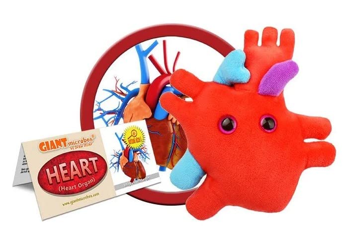GIANTMICROBES Heart Plush side view showing the aorta and veins for anatomy study