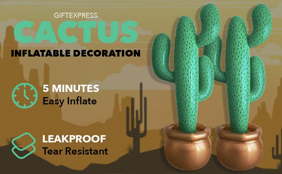 GiftExpress water inlet base helps stabilize the cactus during display.