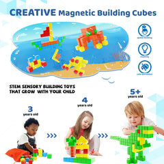 Blocks show four color options for early color recognition
