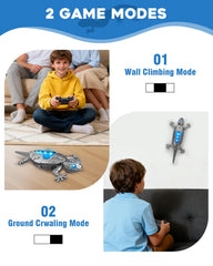 Givzan gecko climbing vertical surfaces for engaging play