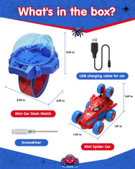 Givzan Spider Toy indoor-outdoor play suits versatile spaces.