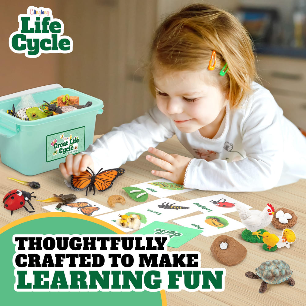 GLINGLONG Life Cycle Kit snail figures reinforce life cycle sequencing
