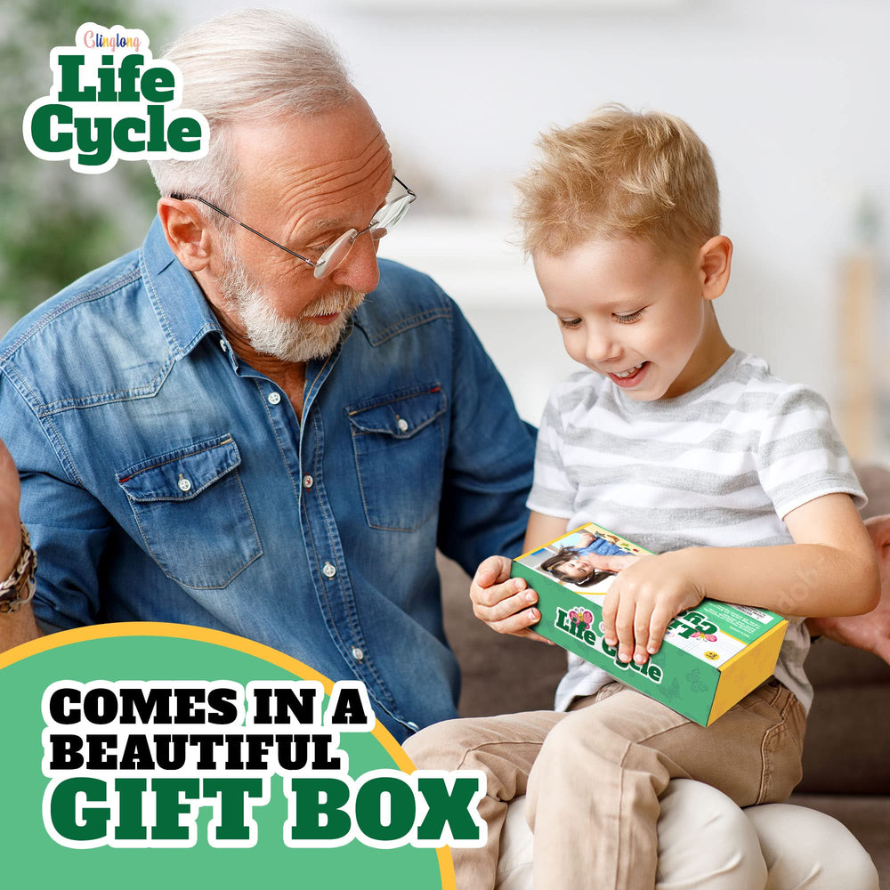 GLINGLONG life cycle turtle figure promotes sequencing through hands-on play