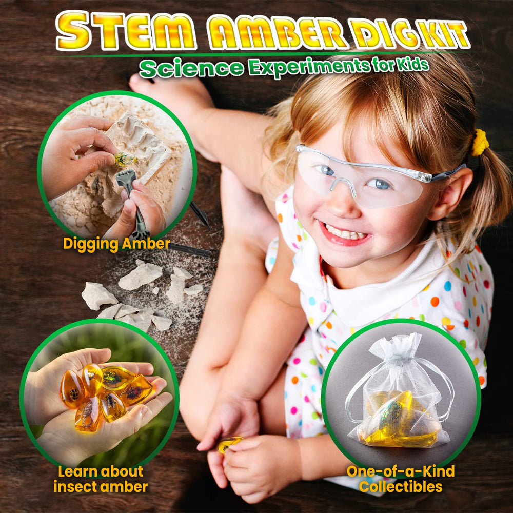 GobiDex Amber Dig Kit classification guide supports structured science learning
