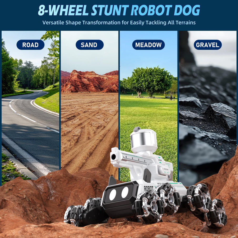 Godboat Robot Dog 2.4G remote delivers stable control.