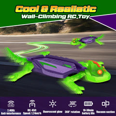 Goody King remote control with 2.4GHz signal enables precise movements.