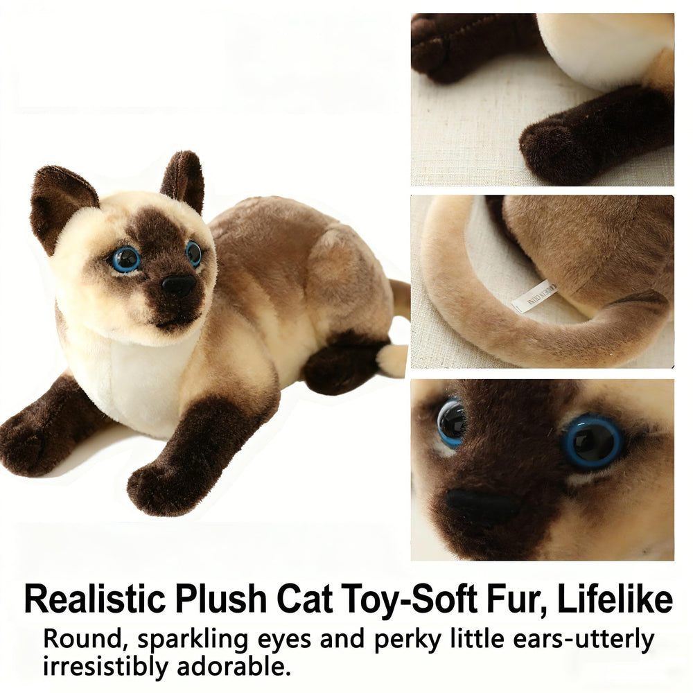 GUDVES Siamese cat head tilt inviting gentle interaction