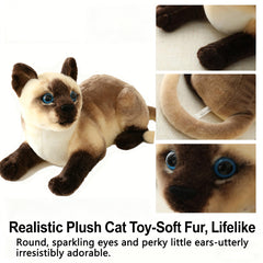 GUDVES Siamese cat head tilt inviting gentle interaction
