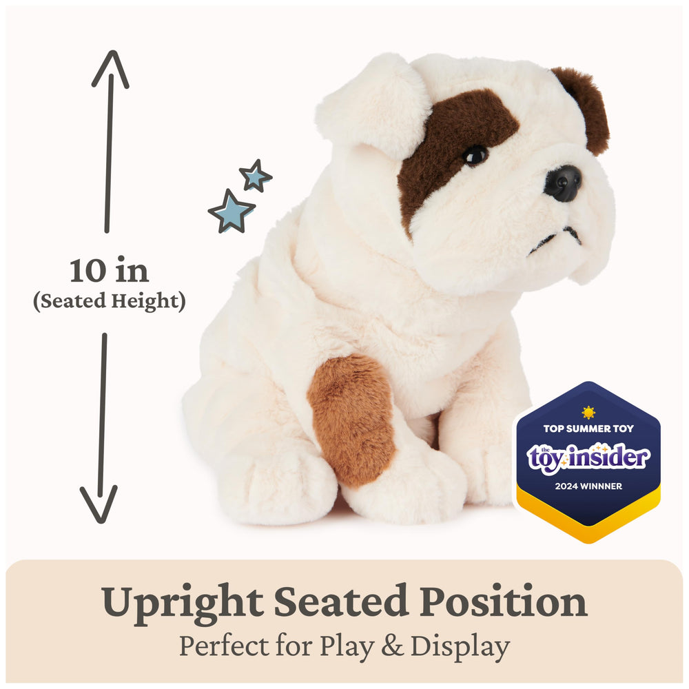 GUND Toast Bulldog plush close-up face highlighting the wrinkled charm
