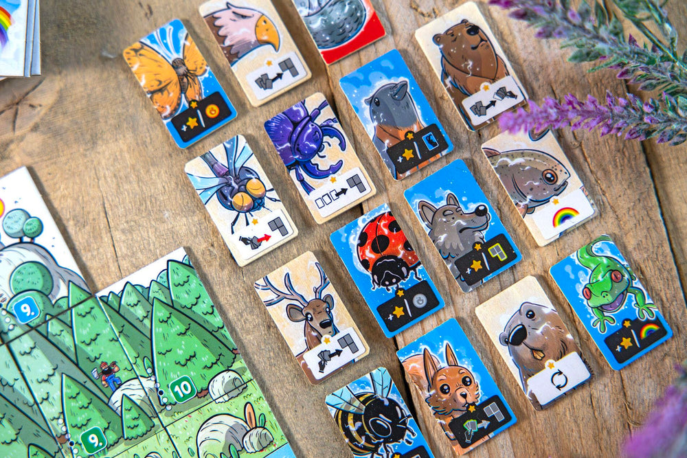 Hachette Solstis compact box keeps game ready for travel adventures.