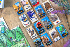 Hachette Solstis compact box keeps game ready for travel adventures.