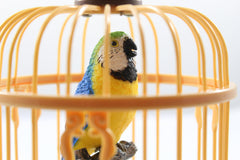 Haktoys decorative bird cage setup on shelf or table