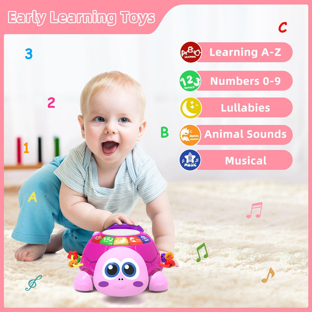 Hanayo Turtle buttons and lights help teach letters and numbers