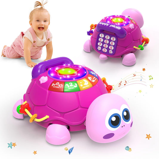 Hanayo Baby Musical Turtle close up showing learning lights for early literacy