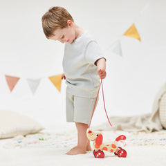 Hape Walk-A-Long Puppy wood construction and natural finish