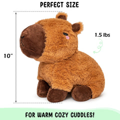 Happy Fuel capybara warm plush supports relaxation and calm moments