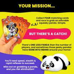 Happy Yeti Games Pandamonium rule sheet explains quick play clearly.