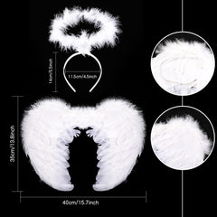 Haysandy costume set packaging keeps wings neatly stored for reuse.