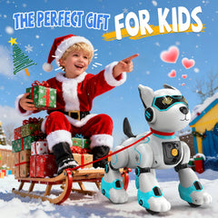 HBUDS robot dog rechargeable battery for extended playtime
