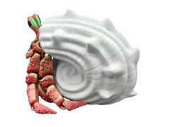 Gift-ready Hermit Crab Articulated Toy packaging.