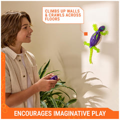 HEX BOTS gecko with LED eyes enhances night visibility during play