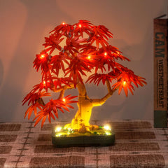 Hilighting Bonsai light ambience adds warm glow to night-time displays.