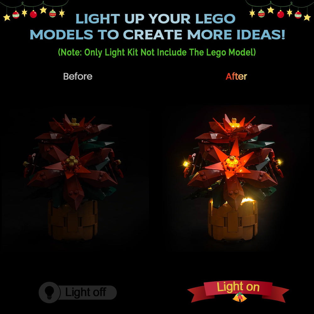 Hilighting LED kit USB power option enables flexible lighting for the Poinsettia