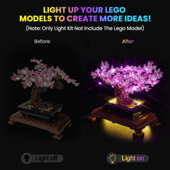 Hilighting LED light kit demonstrates bonsai tree lit effects with vibrant ambiance.