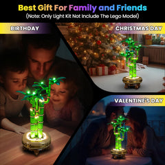 Bright, shiny illumination enhances Lego Lucky Bamboo builds.