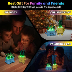 Gift-ready Hilighting LED light kit for adults who love display builds.