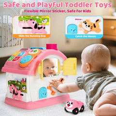 Hodurgyi learning house shapes activity engages visual recognition and fine motor skills.