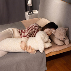 Living room setup featuring Hofun4U plush pillow for cozy downtime.