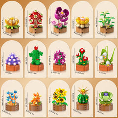 HOGOKIDS classroom prizes and stocking stuffer idea.
